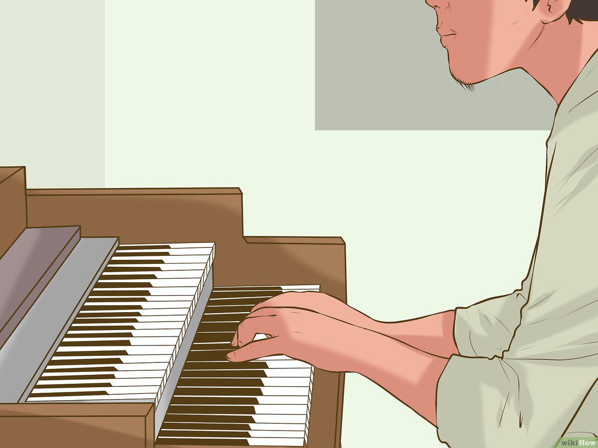 Panduan Praktis untuk Mengoperasikan Organ