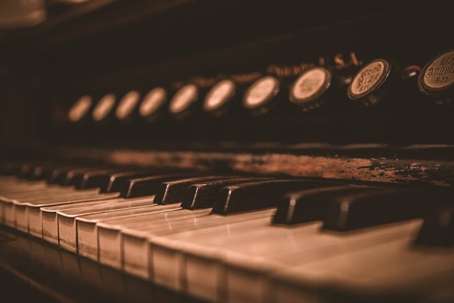 Sejarah serta Evolusi Instrumen Musik Organ